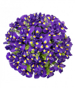 Букет из ирисов с зеленью "Сиреневый туман"