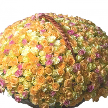 Корзина MIX из 501 розы